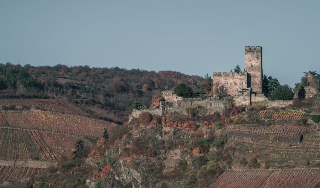 mattinella